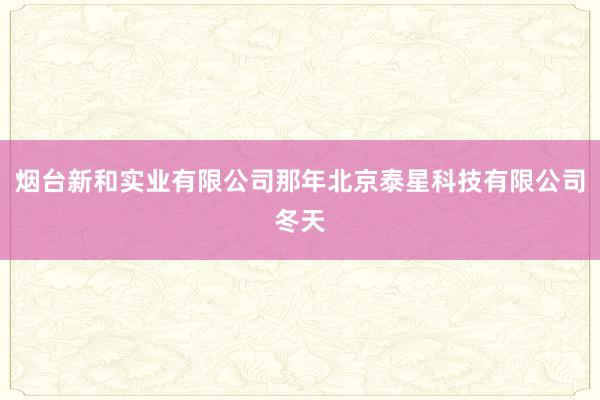 烟台新和实业有限公司那年北京泰星科技有限公司冬天