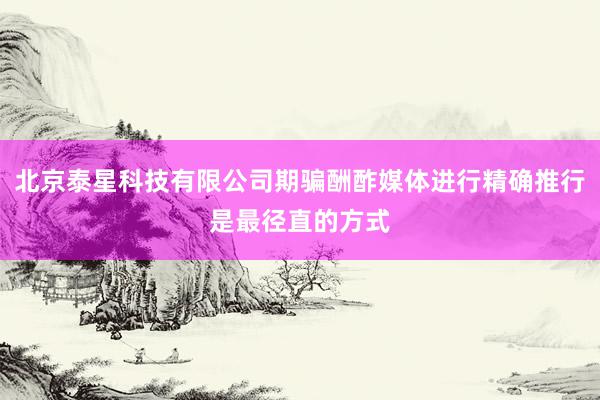 北京泰星科技有限公司期骗酬酢媒体进行精确推行是最径直的方式