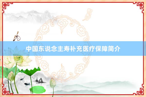 中国东说念主寿补充医疗保障简介