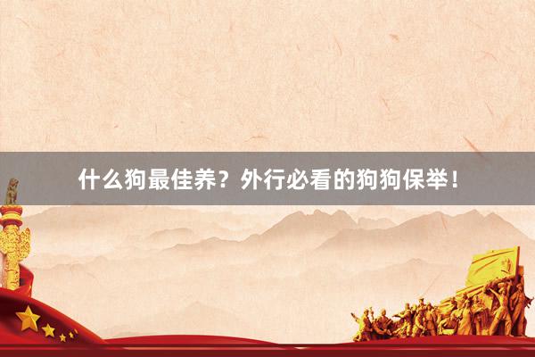 什么狗最佳养？外行必看的狗狗保举！