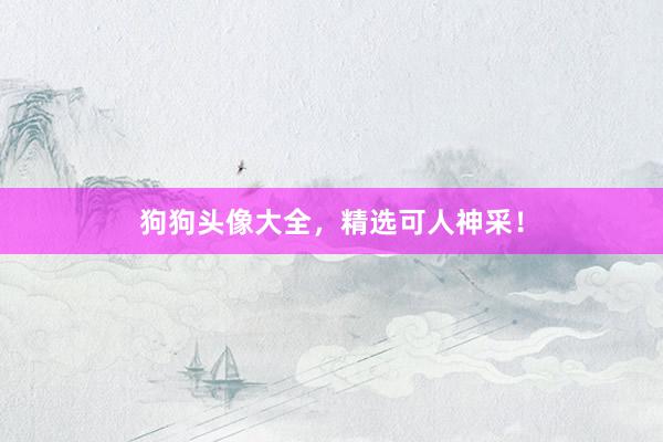 狗狗头像大全,精选可人神采!