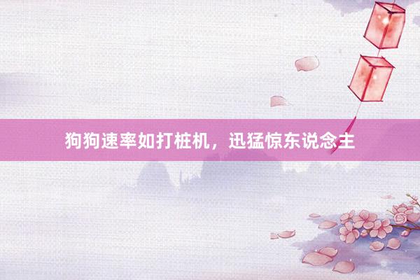 狗狗速率如打桩机，迅猛惊东说念主